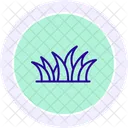 Grass Field Grass Field Icon