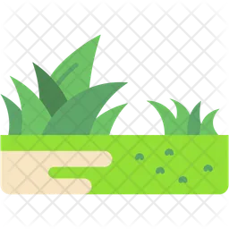 Grass  Icon