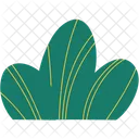 Grass Nature Green Icon