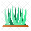 Grass  Icon