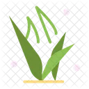 Grass Grasses Green Icon