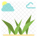 Grass Grasses Green Icon