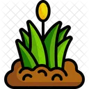 Grass  Icon