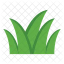 Grass  Icon