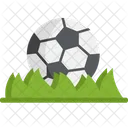 Grass Ball Soccer Icon