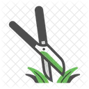Grass  Icon