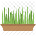 Grass Pot  Icon