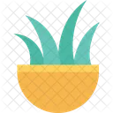 Grass Pot Plant Icon
