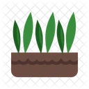 Grass Pot Icon
