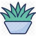 Grass pot  Icon