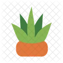 Grass Pot Leaves Herbs Icon