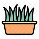 Grass Pot Leaves Herbs Icon