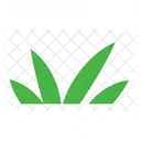 Grass  Icon