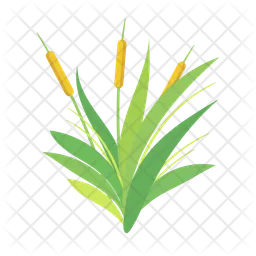 Grass Weeds  Icon