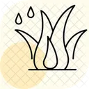 Grass With Dew Icon