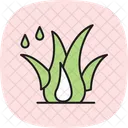 Grass With Dew Grass Dew Icon