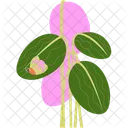 Grass With Insects Insects Bug Icon