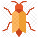 Insect Bug Animal Icon