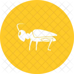 Grasshopper  Icon