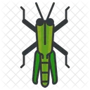 Grasshopper Animal Icon
