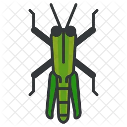 Grasshopper  Icon