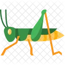 Grasshopper Insect Bug Icon