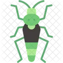 Grasshopper  Icon