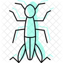 Grasshopper Insect Bug Icon