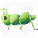 Grasshopper Insect Bug Icon