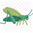 Grasshopper Insect Green Icon