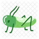 Spring Spring Nature Icon