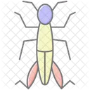 Grasshopper Insect Jumping Icon
