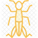 Grasshopper Insect Jumping Icon