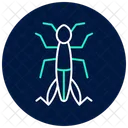 Grasshopper Insect Jumping Icon