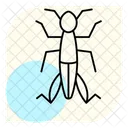 Grasshopper Insect Jumping Icon