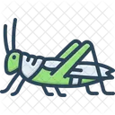 Grasshopper Insects Critter Icon