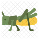 Grasshopper  Icon