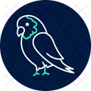 Graupapagei  Symbol