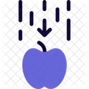 Gravitación de la manzana hacia abajo  Icono