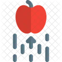 Gravitación de manzana hacia arriba  Icono