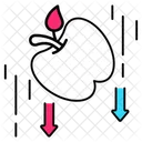 Universe Gravity Science Icon