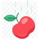 Gravity Apple Fruit Physics Icon