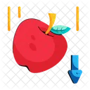 Gravity Apple Newton Experiment Falling Apple アイコン