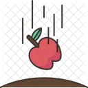 Gravity Force  Icon