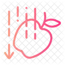Gravity  Icon