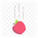 Gravity Science Apple Icon