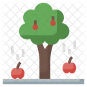 Gravity  Icon