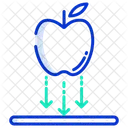 Gravity  Icon