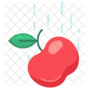 Gravity Apple Fruit Physics アイコン