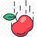 Gravity Apple Fruit Physics アイコン